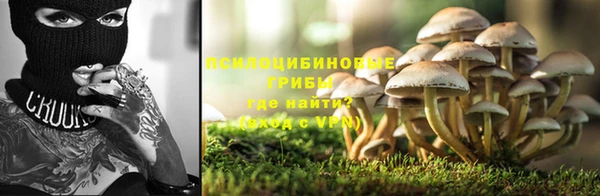 PSILOCYBIN Алексин