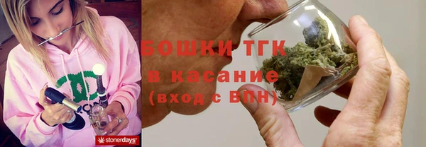 молекула духа Алексеевка