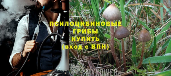 бошки Алзамай