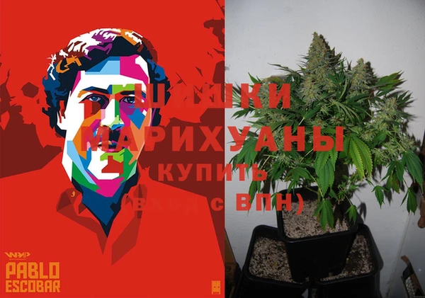 бошки Алзамай