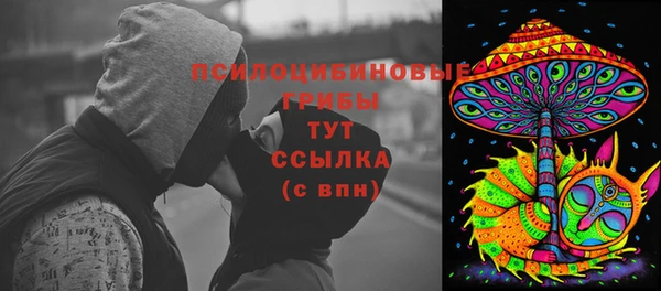 молекула духа Алексеевка